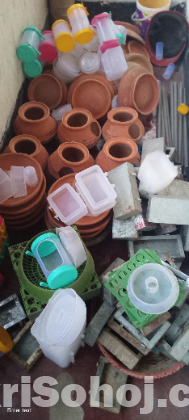 পাখির হাড়ি